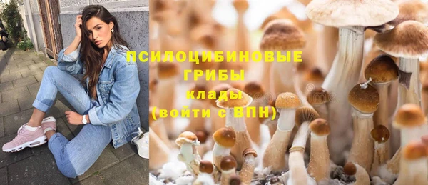 ГАЛЛЮЦИНОГЕННЫЕ ГРИБЫ Наволоки