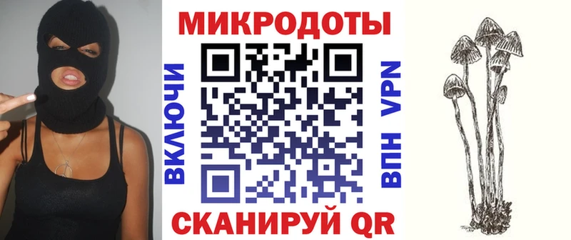 что такое   Сычёвка  Псилоцибиновые грибы GOLDEN TEACHER 